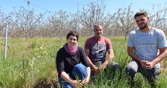 Domaine des Granges Domaine des Granges