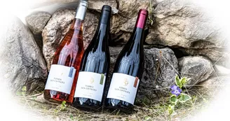 Domaine des Granges Domaine des Granges
