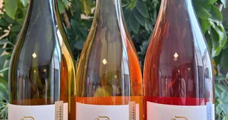 Domaine des Granges Domaine des Granges