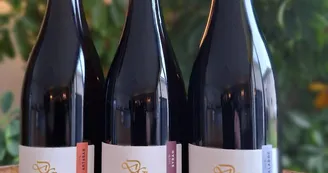 Domaine des Granges Domaine des Granges