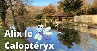 Jeu de piste interactif "Alix le caloptéryx"
