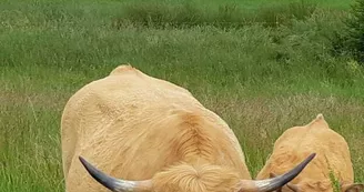 La Ferme des Griules