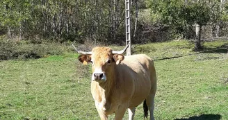 La Ferme des Griules