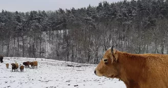 La Ferme des Griules