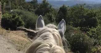 Balade en famille - Ferme Equestre le Foussac