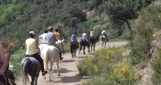 Balade en famille - Ferme Equestre le Foussac