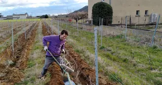 L'Homme à tête de vin