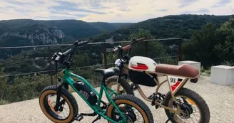 Location de vélos électrique vintage avec les bikes de papa - 1/2 journée