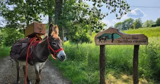 Chasse au trésor avec un âne