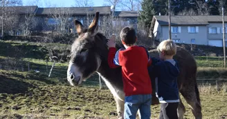 Chasse au trésor avec un âne