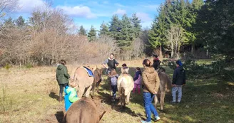 Chasse au trésor avec un âne