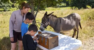 Chasse au trésor avec un âne