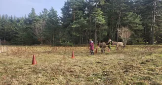 Chasse au trésor avec un âne