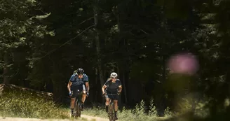 Location de vélos Route, Gravel et VTT à la journée - Face Sud