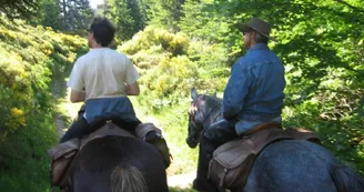 Randonnée à cheval et cours d'équitation - L'Eperon