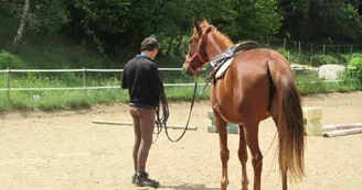 Randonnée à cheval et cours d'équitation - L'Eperon