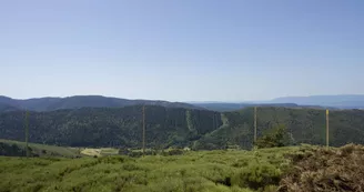Suc de Montat Suc de Montat