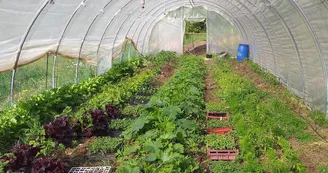 Les Jardins de Peyni Les Jardins de Peyni