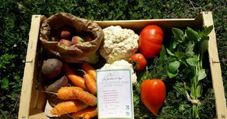 Les Jardins de Peyni Les Jardins de Peyni