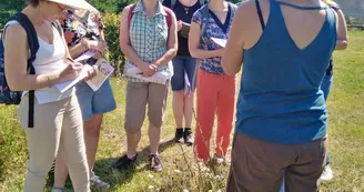 La Magie des Plantes La Magie des Plantes