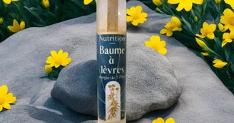 La Magie des Plantes La Magie des Plantes