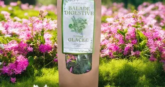 La Magie des Plantes La Magie des Plantes