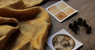 Cl'arté - Teinture végétale, aquarelles artisanales