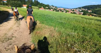 Pension équestre et travail - Domaine de Fontcouverte