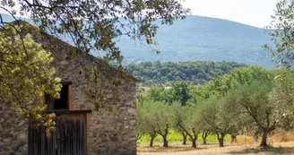 Domaine des Gorges - Huile d'Olive