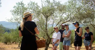 Domaine des Gorges - Huile d'Olive