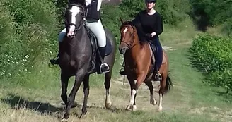 Balades à poney ou à cheval avec Crinières aux vents