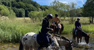 Balades à poney ou à cheval avec Crinières aux vents