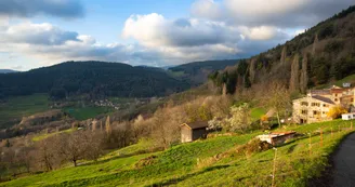 Les Pampilles Encrées Les Pampilles Encrées