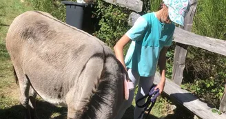 Visite de l'asinerie et/ou balade avec un âne baté