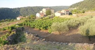 Butinez en famille - Randoland Ribes