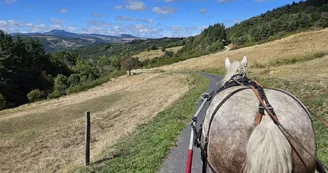 Balade en calèche Balade en calèche