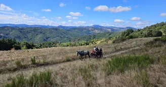 Balade en calèche Balade en calèche