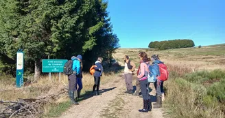 Tourbière de la Couleyre
