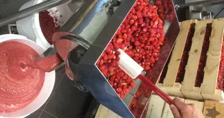 Aux glaces de mon père par MEZIA