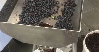 Aux glaces de mon père par MEZIA