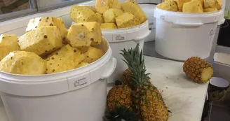 Aux glaces de mon père par MEZIA