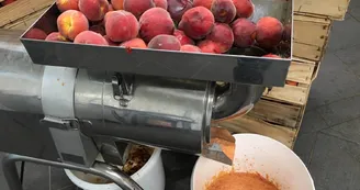 Aux glaces de mon père par MEZIA