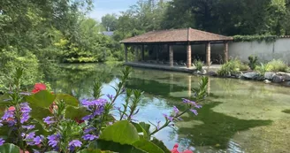 Aire de pique-nique - Parc des sources
