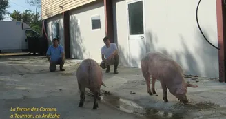 EARL Lou Cayon - La ferme des Carmes