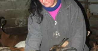 Ferme Fanny Montoya