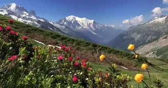 Col de Balme Col de Balme