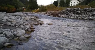 Pêche dans la rivière Arve Pêche dans la rivière Arve