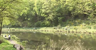 Étang et vallée du Schafbach Étang et vallée du Schafbach