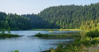 Le lac de lispach