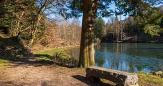 Le Coteau du Bambois